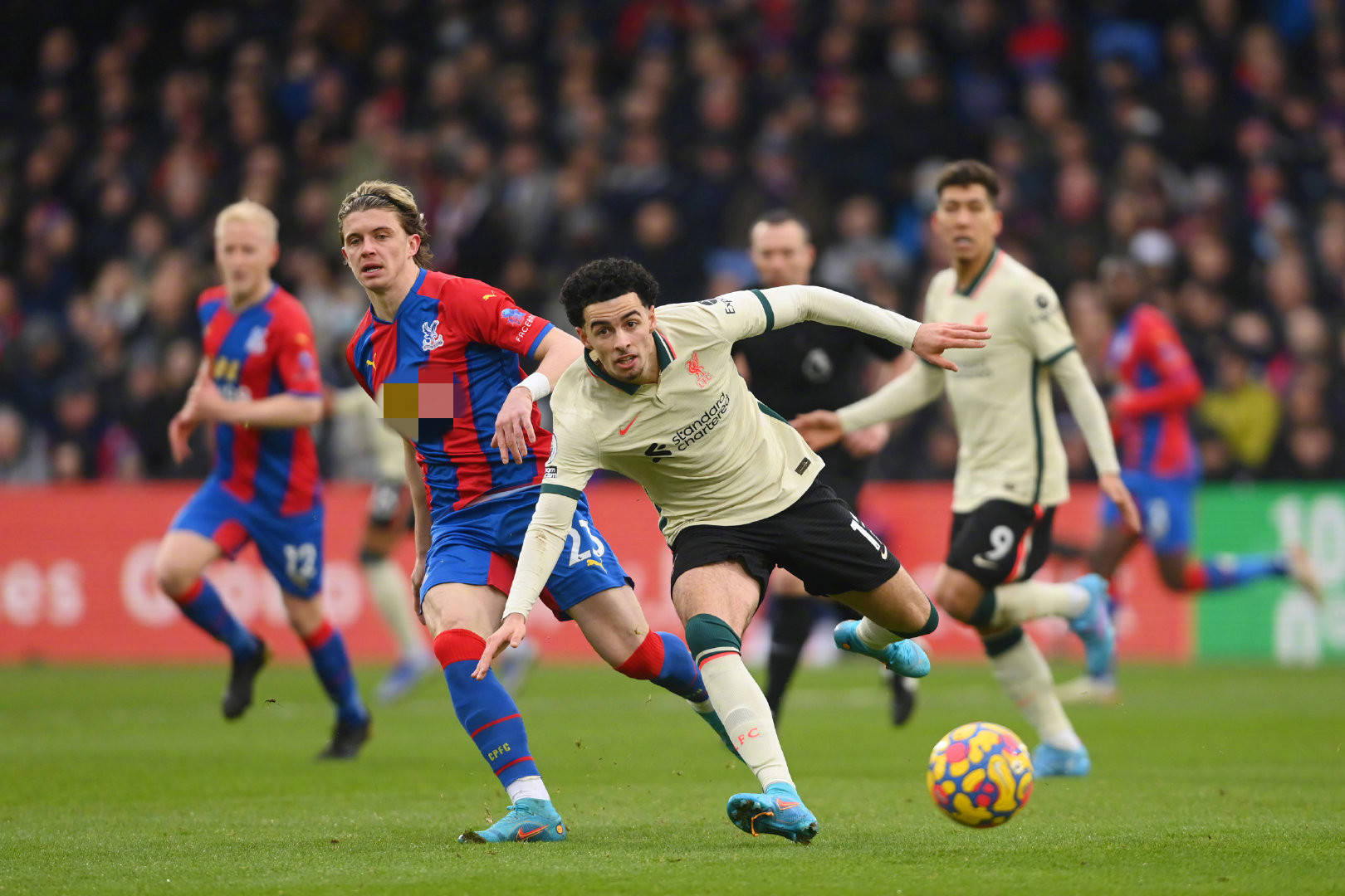 素以严格和 素以严格和